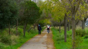 Vía Verde de la Campiña